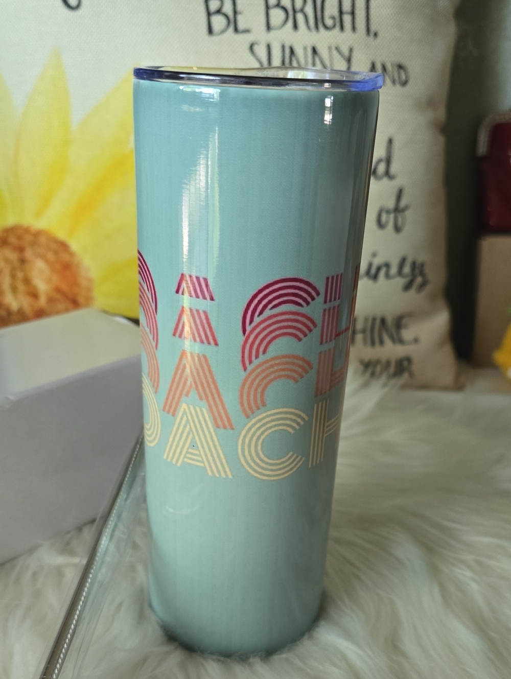NWT Travel Tumbler With Lid And Straw, And Scrubber, Off BRAND